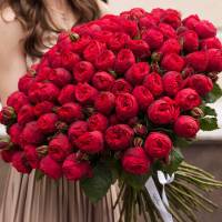 Большой букет 101 красная пионовидная роза R110